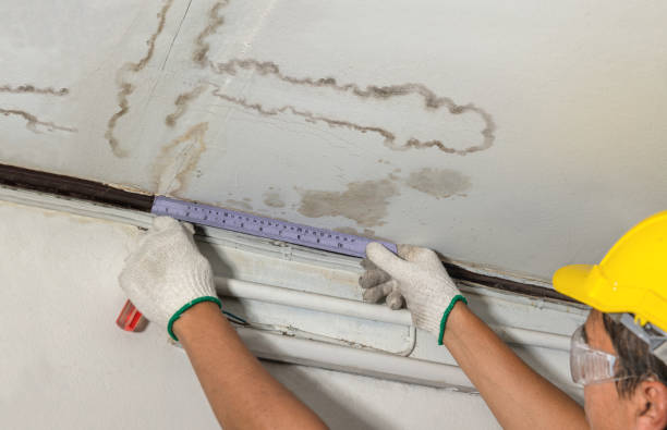 Reliable Water Damage Repair contractor in Kingwood, WV by Hirex Water Damage